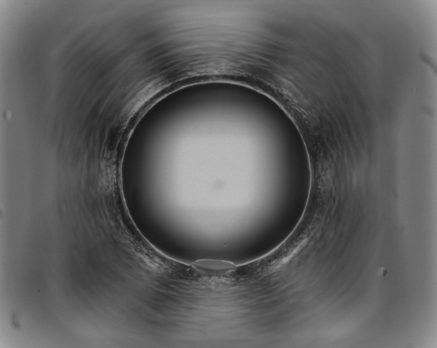 X0000096661073200802191301