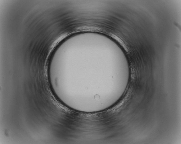 X0000096661074200802191301