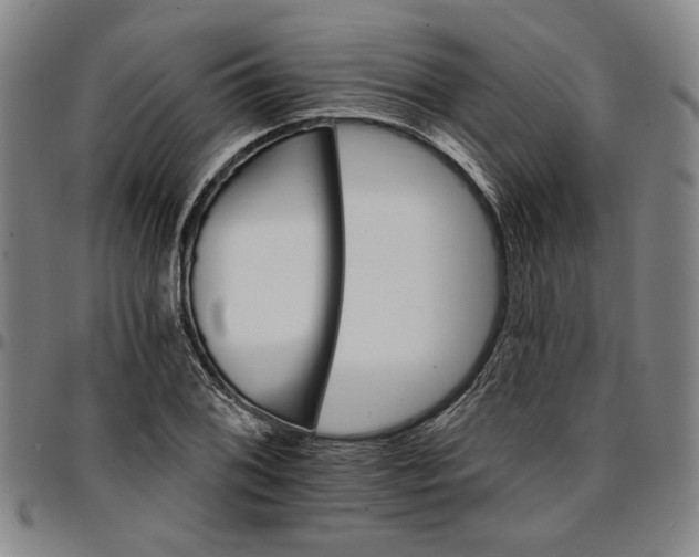 X0000096661076200802191301