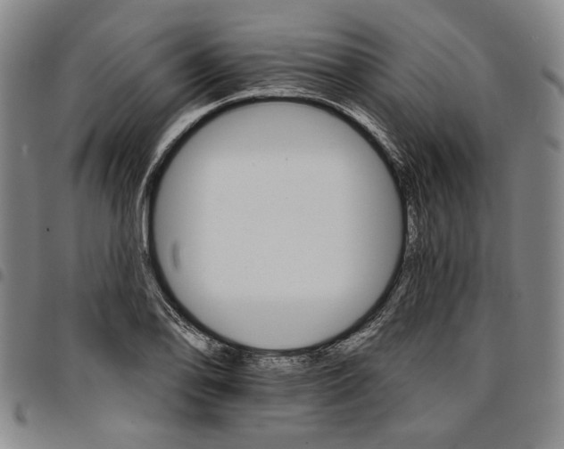 X0000096661078200802191301