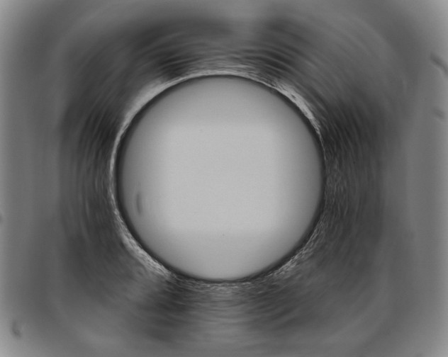 X0000096661080200802191301