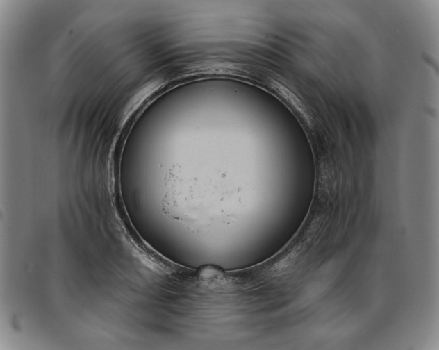 X0000096661082200802191301