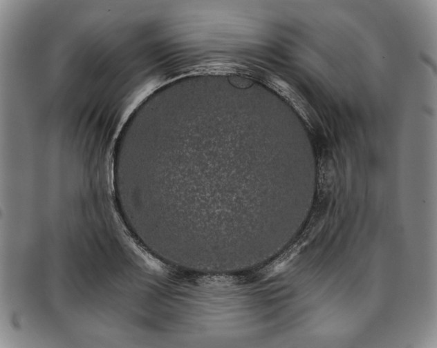 X0000096661083200802191301