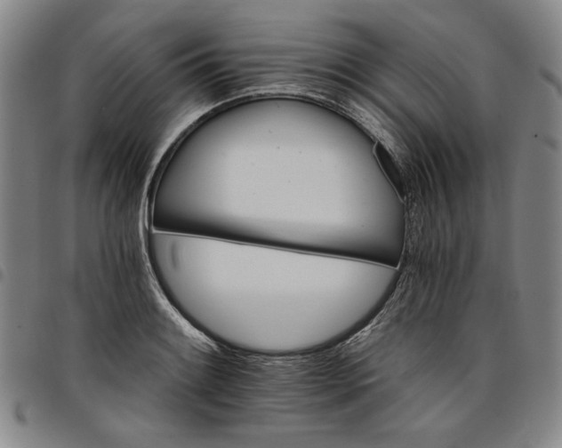 X0000096661084200802191301