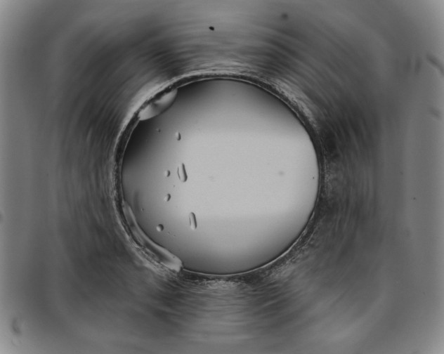 X0000096661085200802191301