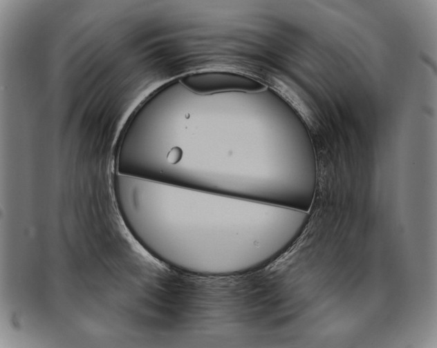 X0000096661092200802191301