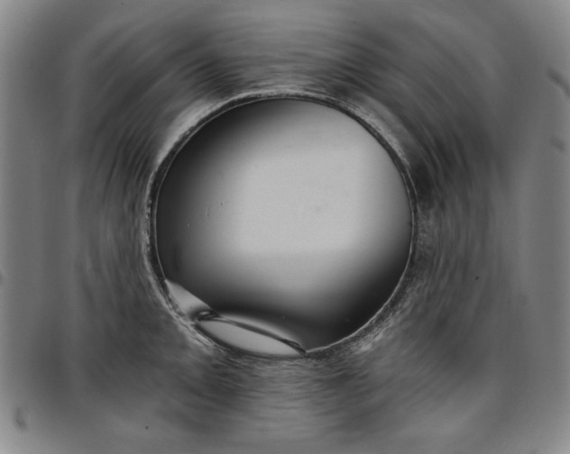 X0000096661093200802191301