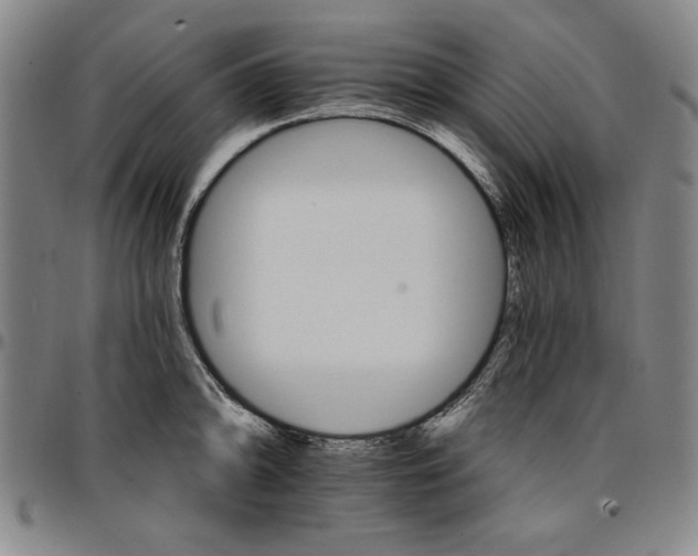 X0000096661094200802191301