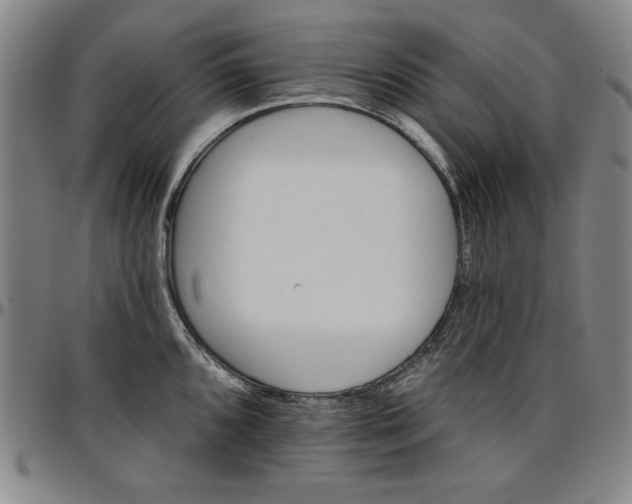 X0000096661096200802191301