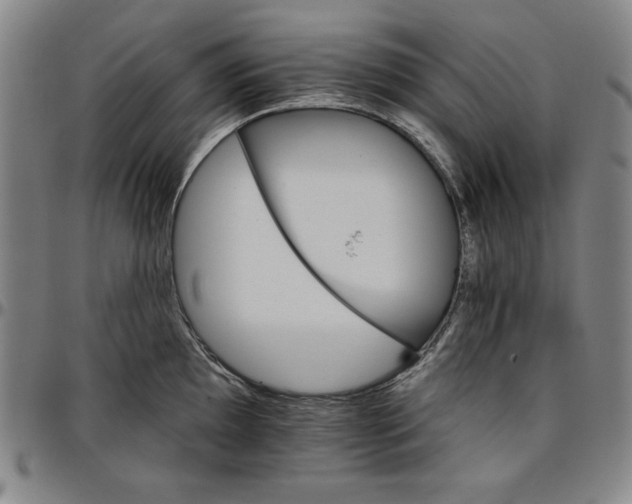 X0000096661097200802191301