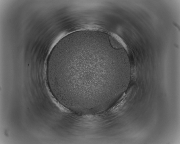 X0000096661099200802191301