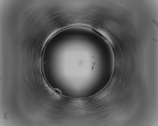 X0000096661100200802191300