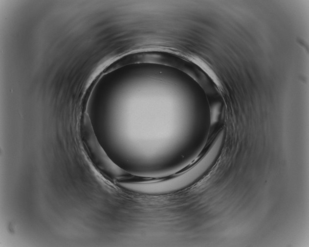 X0000096661101200802191300