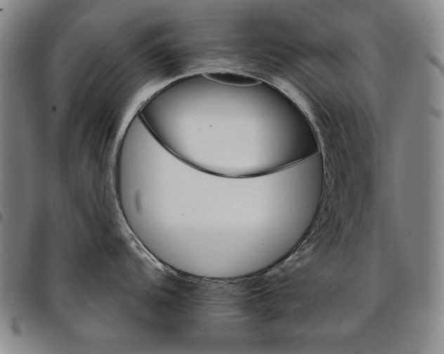 X0000096661104200802191300