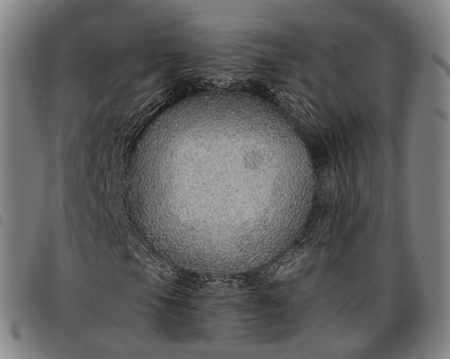 X0000096661105200802191259