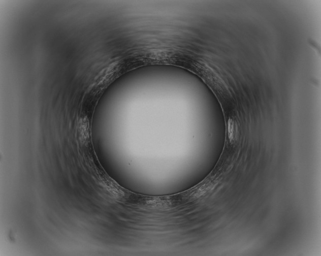 X0000096661107200802191300