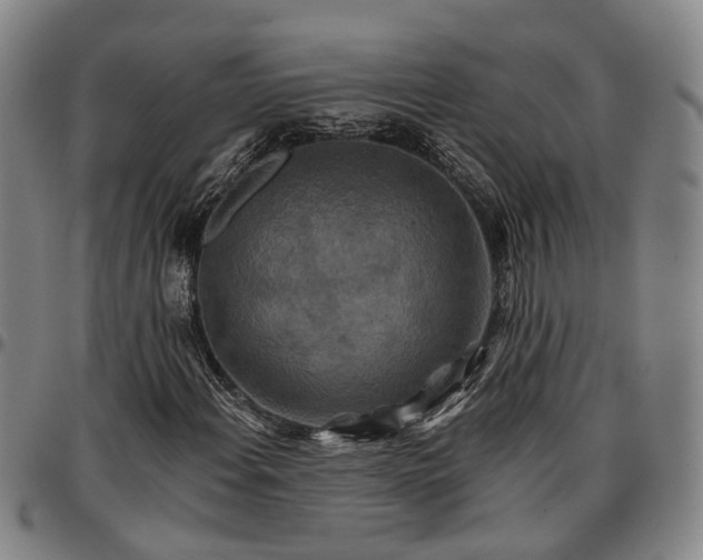 X0000096661108200802191300