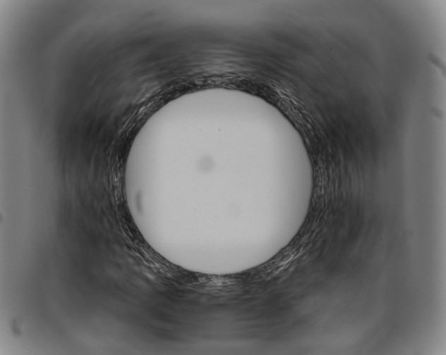 X0000096661109200802191300