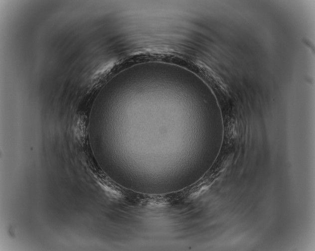 X0000096661110200802191300