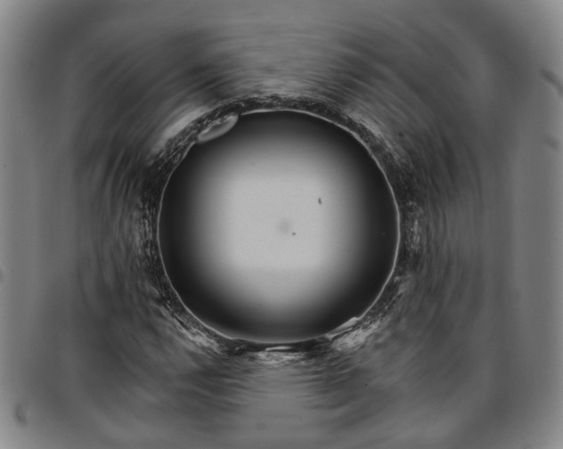 X0000096661112200802191300