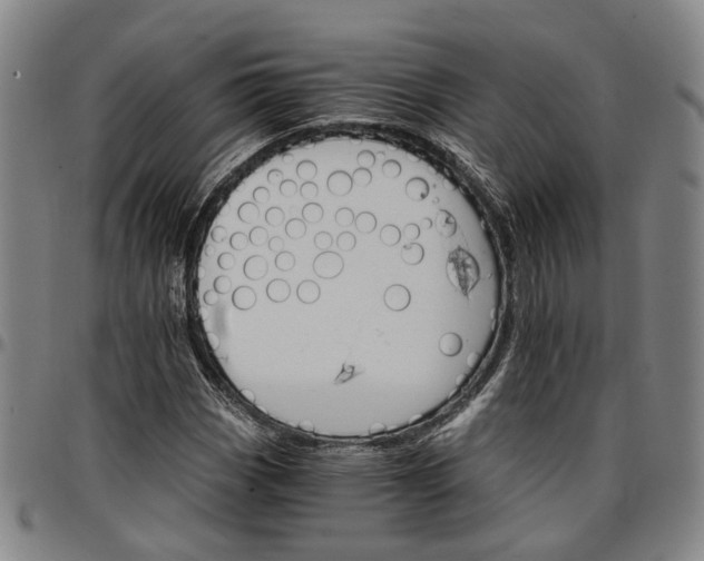 X0000096661113200802191300