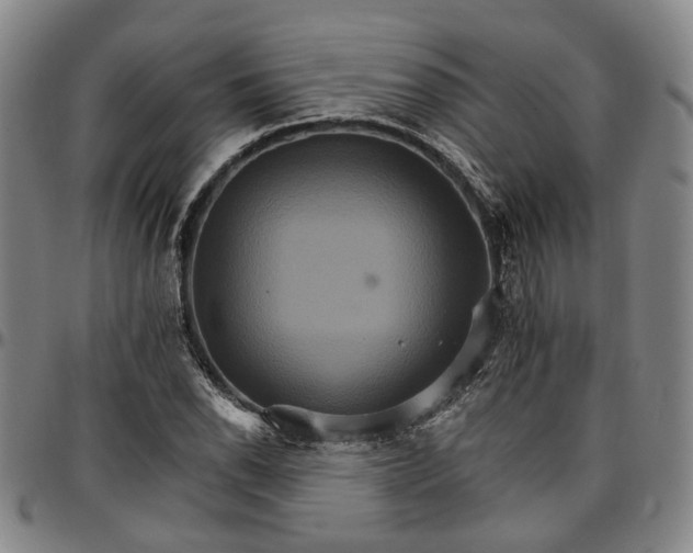 X0000096661118200802191300