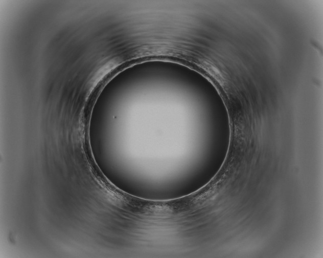 X0000096661119200802191300