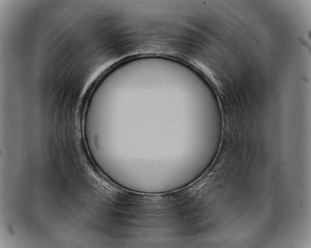 X0000096661120200802191300