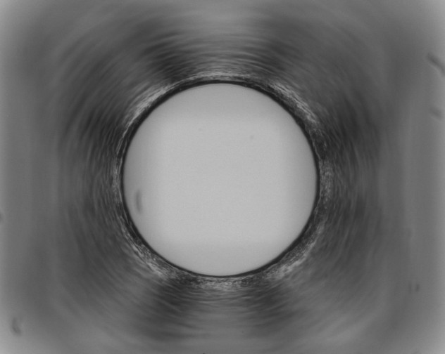 X0000096661121200802191300