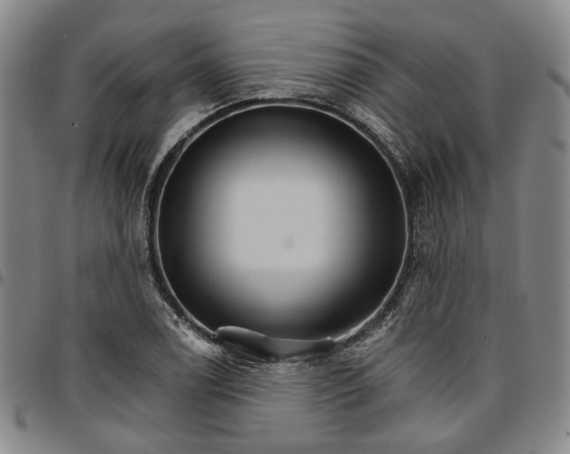 X0000096661122200802191300