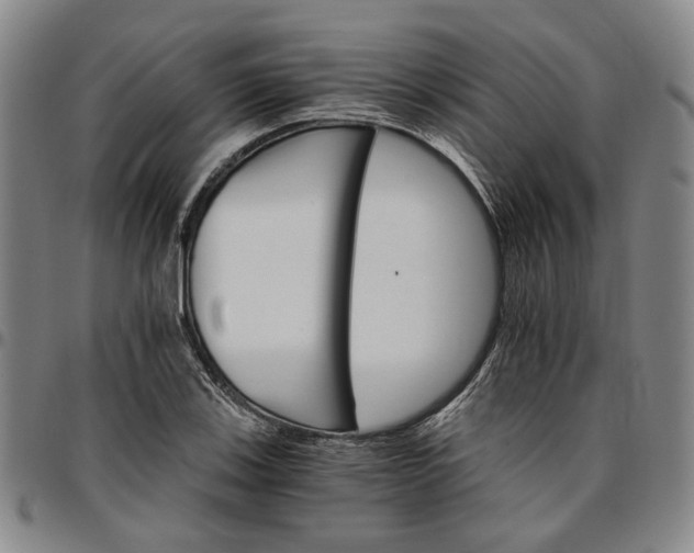 X0000096661123200802191300