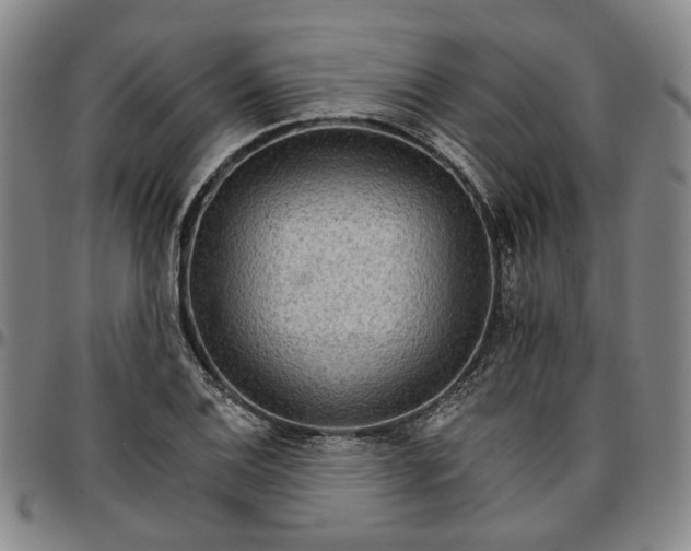 X0000096661124200802191300