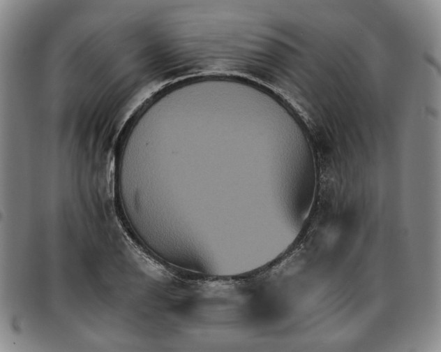 X0000096661126200802191300