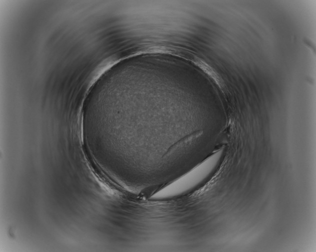 X0000096661127200802191300