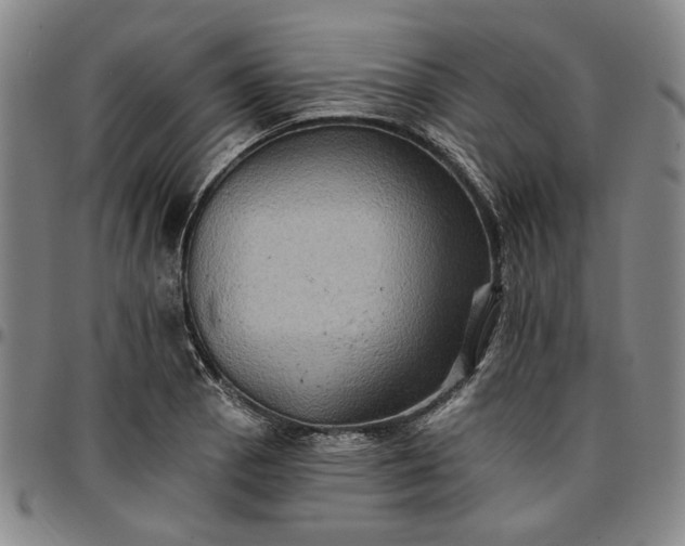 X0000096661129200802191300