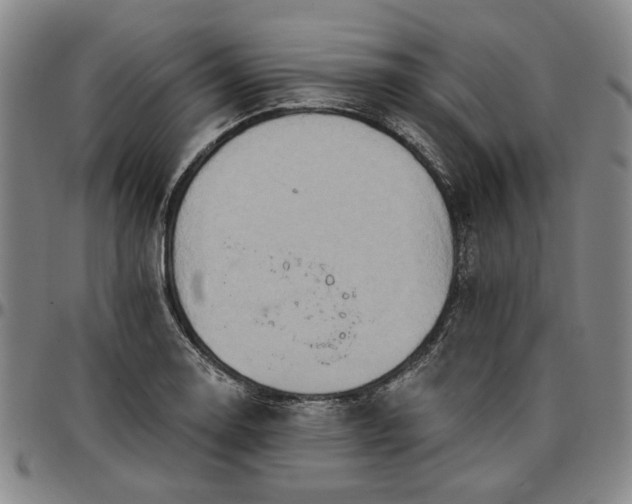 X0000096661130200802191300