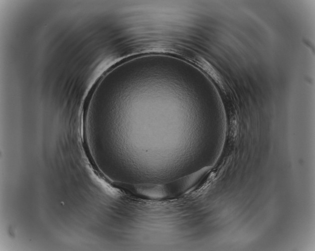 X0000096661132200802191300