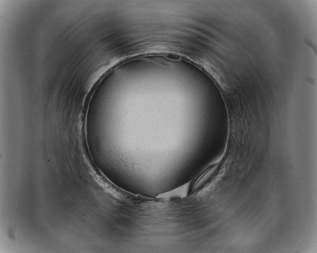 X0000096661134200802191300