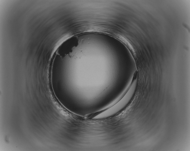 X0000096661138200802191300