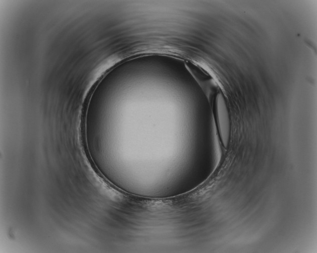 X0000096661139200802191300