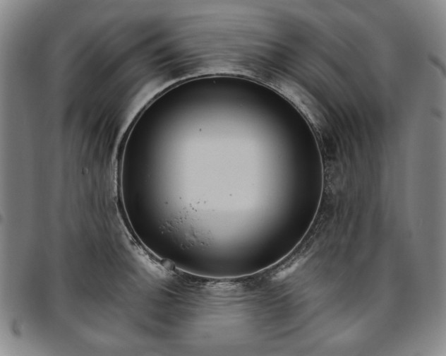 X0000096661140200802191300