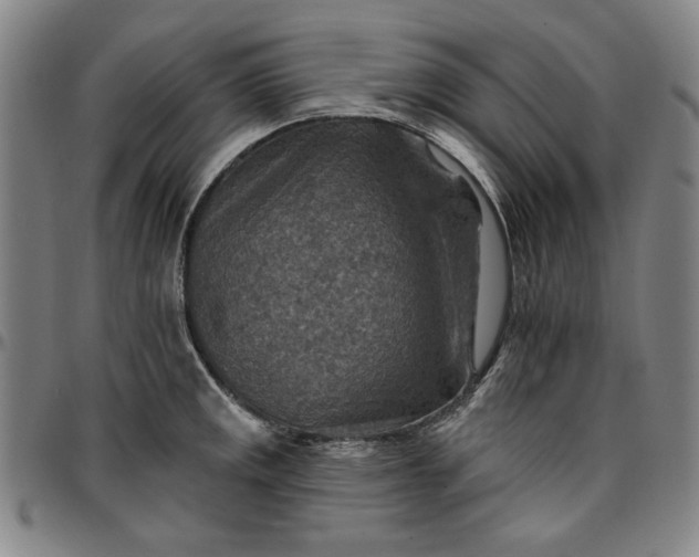 X0000096661141200802191300