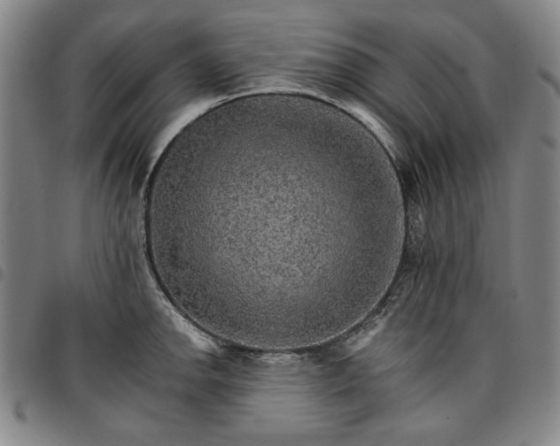 X0000096661142200802191300