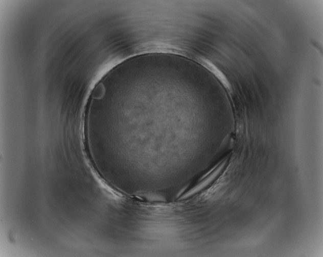 X0000096661144200802191300