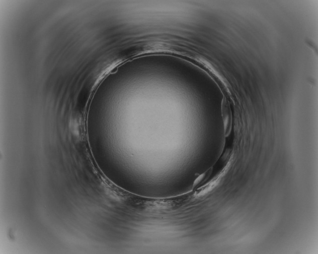 X0000096661145200802191300