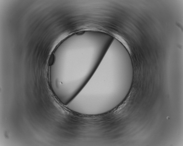 X0000096661146200802191300