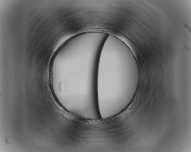 X0000096661147200802191300