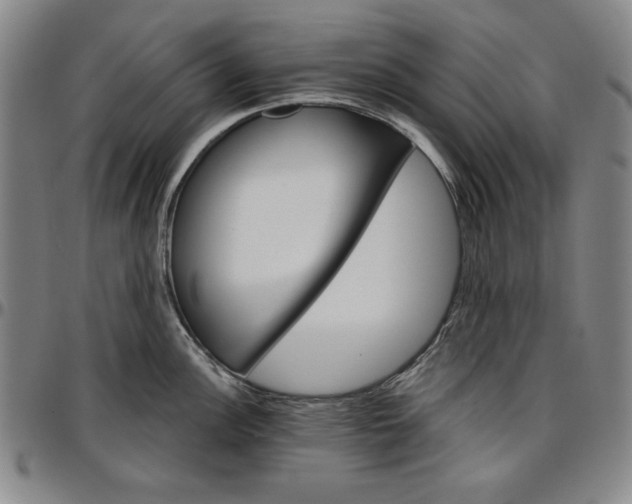 X0000096661148200802191300