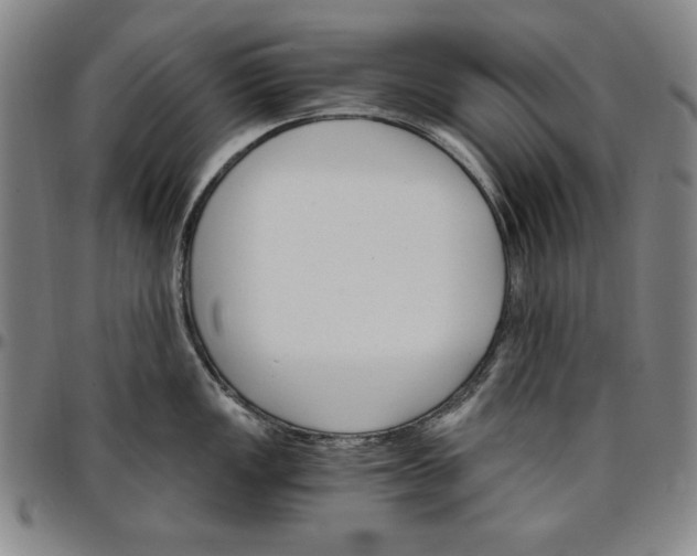 X0000096661149200802191300