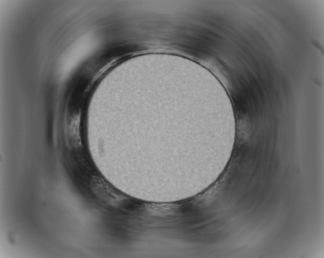 X0000096661150200802191300